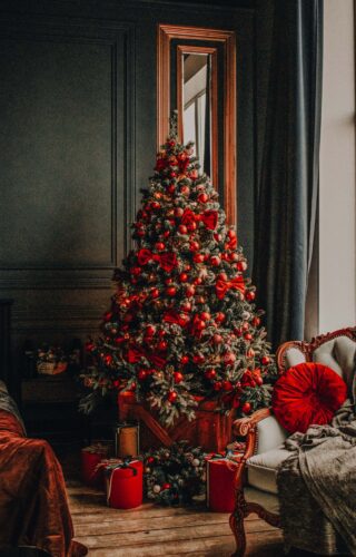 Mistletoe Preset Collection photo review